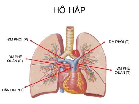 Năm cách phòng bệnh hô hấp hiệu quả khi trời lạnh 